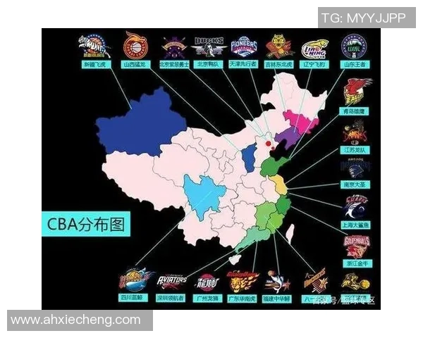 目前CBA联赛中所有现役参赛球队一览